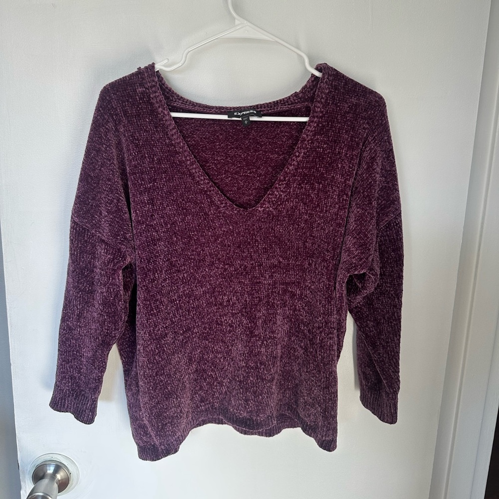 Express Deep Purple V-Neck Sweater